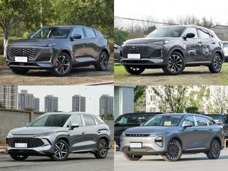 20��Ԫ�����ʵ���ɲ��춯SUV��Ⱥ���