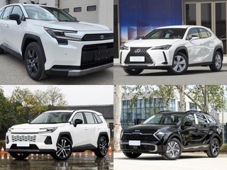 30��Ԫ���Ŀ��͵�춯����SUV��Ⱥ�����RAV4��UX�������ʨ���ؽ�˭��ֵ����