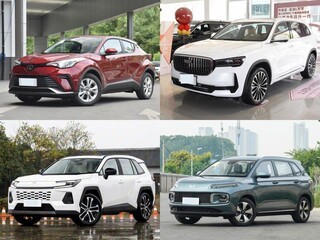 20��Ԫ�����춯5��SUV��Ⱥ�����˭������ͥ��ʵ����