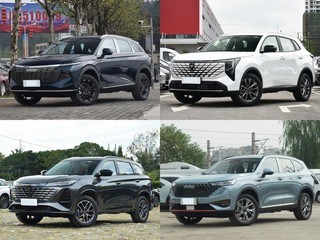 20��Ԫ��ʵ����ѡ��5��ʡ�����е��͵�춯5��SUV����