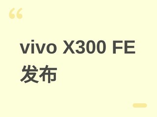 vivo X300 FE������ģ�黯Ӱ��+����8+6500mAh��2026��5�µ�½ӡ��
