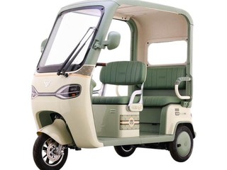��Դ�������綯���ֳ�ֱ��800