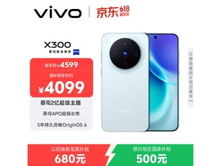 ����vivo X300 12GB+256GB ����3176Ԫ
