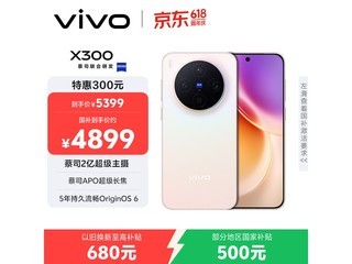 vivo X300 5G �ֻ�������ٵ��� 3870.51 Ԫ