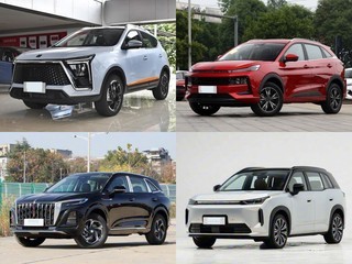 20���ڽ�����SUV��ôѡ��5����ʵ�����������Ԫ�����