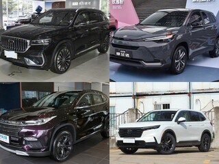 20�����Ŀ�ʵ��������SUV�Ƽ���ʵ����Ʒ�ʼ��