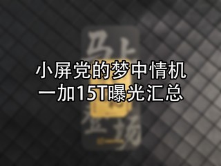 С���������������һ��15T�ع����