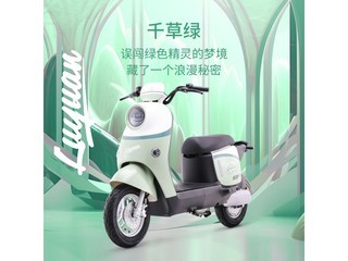 ��ԴZOF LY2000DT - 9�綯��������300