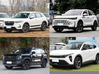 20��Ԫ���Ŀ�5��SUV��Ⱥ�����ȼ��/�춯/����˭��ʤ�μ�ͥ�׹�