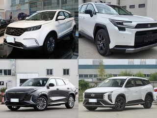 20��Ԫ��5��SUVӲ�˺������������EV��RAV4�ٷŵ����ʵ��Ա�