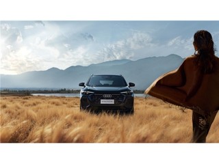 ���ø��ḻ��ȫ�°µ�Q5L�ں����ܼ�ʻ��������飬��ͥ�û����Թ�ע