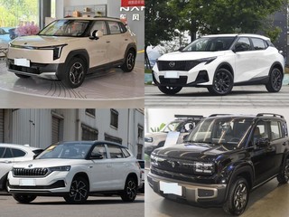 20��Ԫ�����С��SUV��Ⱥ�����������ȼ��˭�����ϳ����ճ�