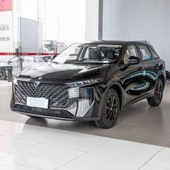 20����ȼ��SUV��ôѡ������ʵ���ɳ�����ʵ�Ա�