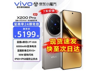 vivo X200 Pro 5Gֻʱػ