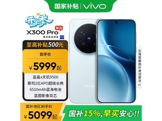 vivo X300 Pro����ͨ�Ű����4733Ԫ
