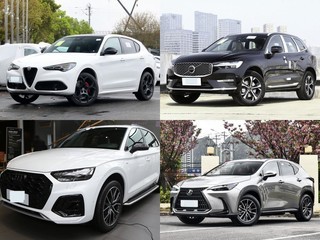50��Ԫ�����ʵ����5������SUV��Ⱥ���