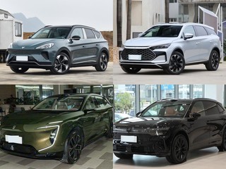 30��Ԫ�ڴ�������SUV��ǿ�Ծ���������T����EV����ά��07�����7Xʵ�����