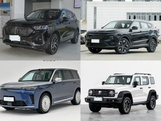 30��Ԫ���Ŀ���5��SUV��Ⱥ�����������ɽ��L7������S9��̹��300����Դ˭��ȫ�ܣ�