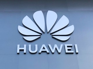 һ����ɣ�������̬���ٻ�Ϊ���ƹ�������������̬���³ɹ�