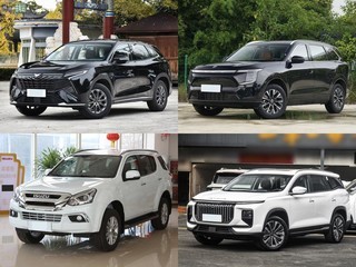 20��Ԫ�������7������SUV������װ�������Ҳ�ߵ�Զ