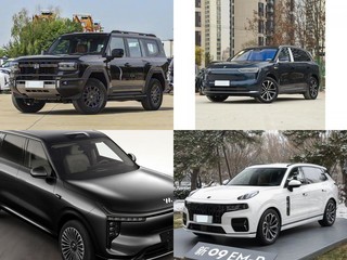 40����ʵ���Ŀ��������д���SUV��˭����װ��ȫ�ҳ��У�