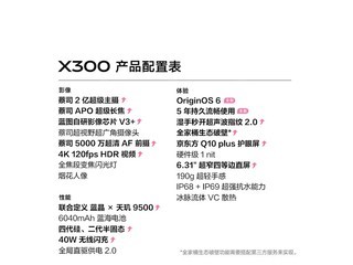 vivo X300���˲ʰ�ֱ��1429Ԫ
