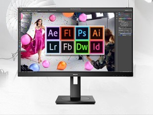 869Ԫȫʾ275S9LRB˫11