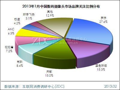 2013年1月中国数码摄像头市场分析报告