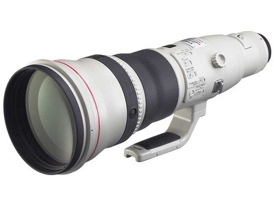 EF 800mm f/5.6L IS USMͷȶ
