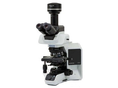 奥林巴斯正置荧光显微镜BX53库存现货
