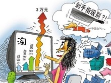 2013年双十一中国IT网民购买行为调查报告