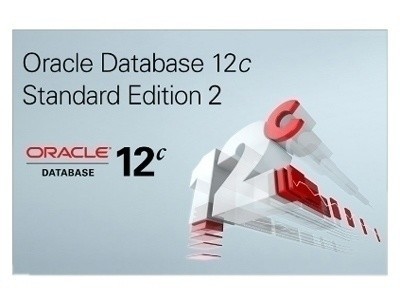Oracle Data  12c 标准版 优惠促销