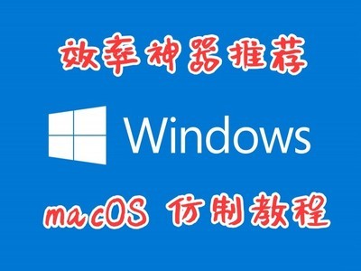 WindowsmacOSһ ɸ㶨