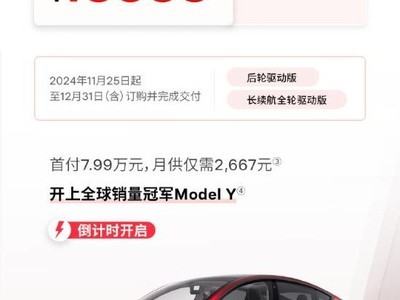 ˹Model Y1Ԫ ʱβ23.99