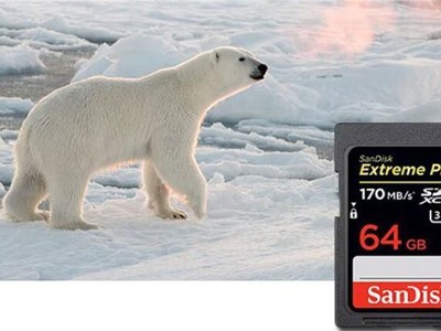 ޡ£64GB SD洢ɱ139Ԫ