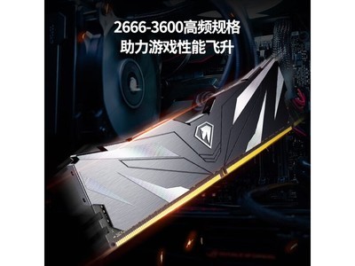 ʿԽӰII 16GB DDR4ڴʱػ