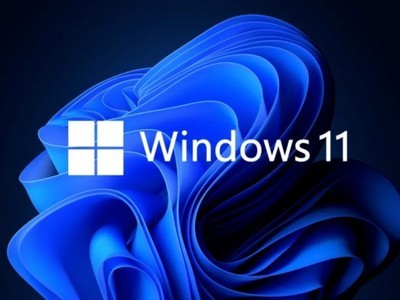 Win11BUGþ½
