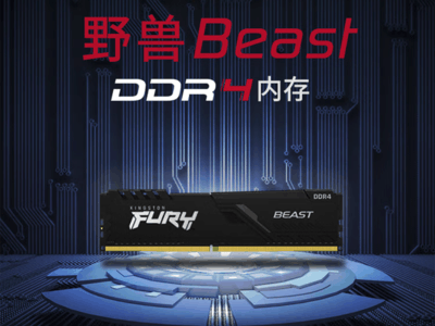 ޡ۸˫11ʿ32GB DDR4̨ʽڴ