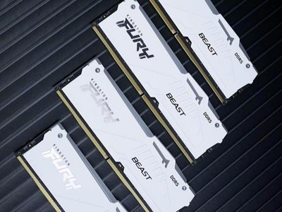 ⡿Kingston FURY Beast DDR5-5600 RGBڴ 128GBϡ