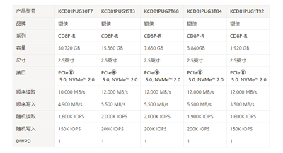  KIOXIA CD8P-R 1.92TB SSD KCD81PUG1T92 Data Center Read Intensive