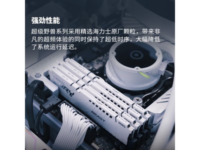 ʿFURY Beast DDR5ڴ16GB404Ԫ