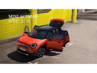MINI ACEMANз