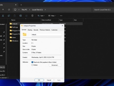 ΢棺Windows 11 ûɾinetpubļ