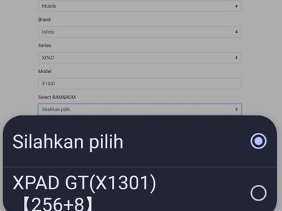 ׿羺ƽXpad GTع⣺8GB+256GB