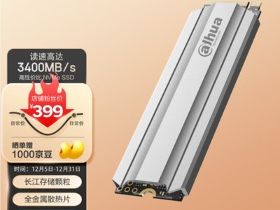 ޡ10ֻ 1T̬384Ԫ