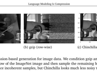 语言模型压缩图像语音有等效性：任意压缩算法皆可