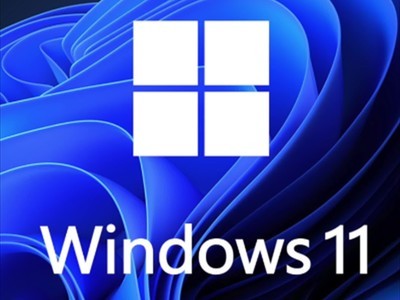 Win11ǿ£΢׷Win10