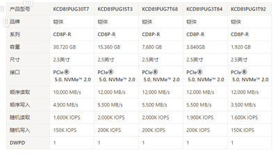 KIOXIAKCD81PUG30T7ΪĴǿ CD8P-R 30.72TB SSD