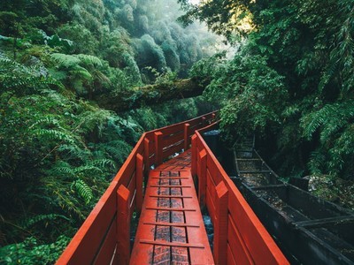 十一神宝典：拍出好照片 构图才是王道