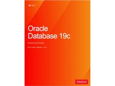 Oracle Database 19C 企业版现货促销
